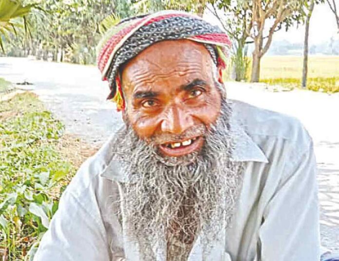 গাছের বন্ধু বাদশা