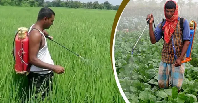 কীটনাশকের ক্ষতিকর প্রভাব