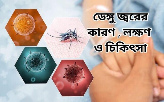 Dengue causes and prevention awareness