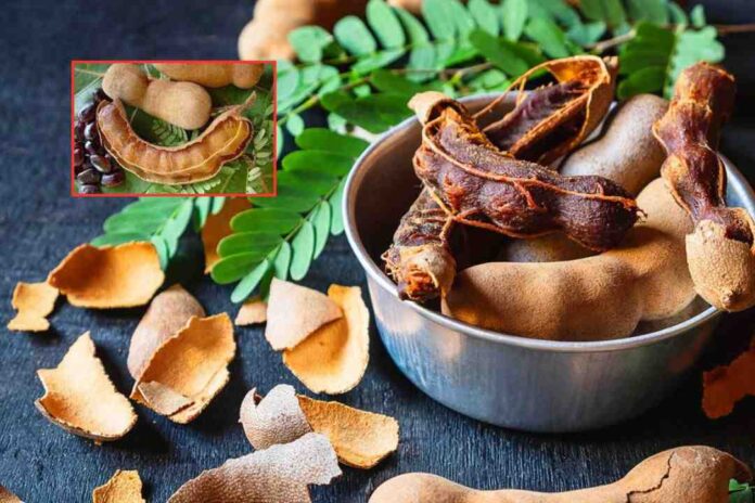 tamarind-benefits-and-risks