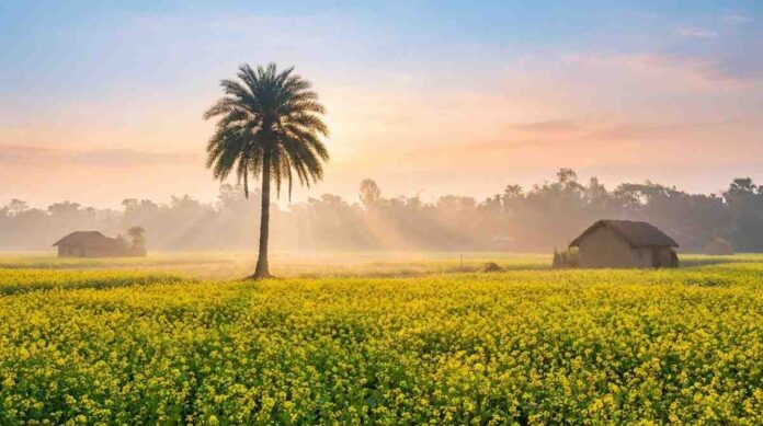 ফেব্রুয়ারি মাসের আবহাওয়া ২০২৬