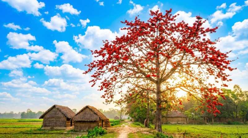 ফেব্রুয়ারি মাসের আবহাওয়ার পূর্বাভাস