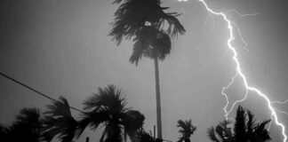 ৫ বিভাগে সতর্কবার্তা: কালবৈশাখী ও অতি ভারী বৃষ্টির আশঙ্কা কালবৈশাখী ঝড়