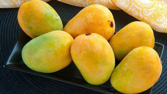 ফ্রিজে আম সংরক্ষণের সঠিক উপায়