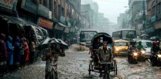 বৃষ্টি নিয়ে আবহাওয়া অফিসের নতুন পূর্বাভাস: কবে থেকে আবারও বাড়বে বর্ষণ? কবে থেকে আবারও বাড়বে বৃষ্টি