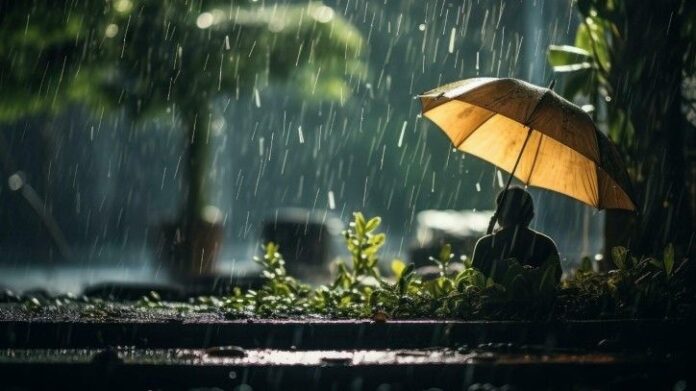 মেঘলা দিন কাটানোর টিপস