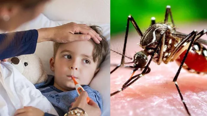 ডেঙ্গু জ্বরের চিকিৎসা